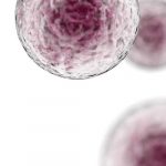 drdonaldpoon_a-primer-in-immunotherapy-a-simple-guide-for-everyone